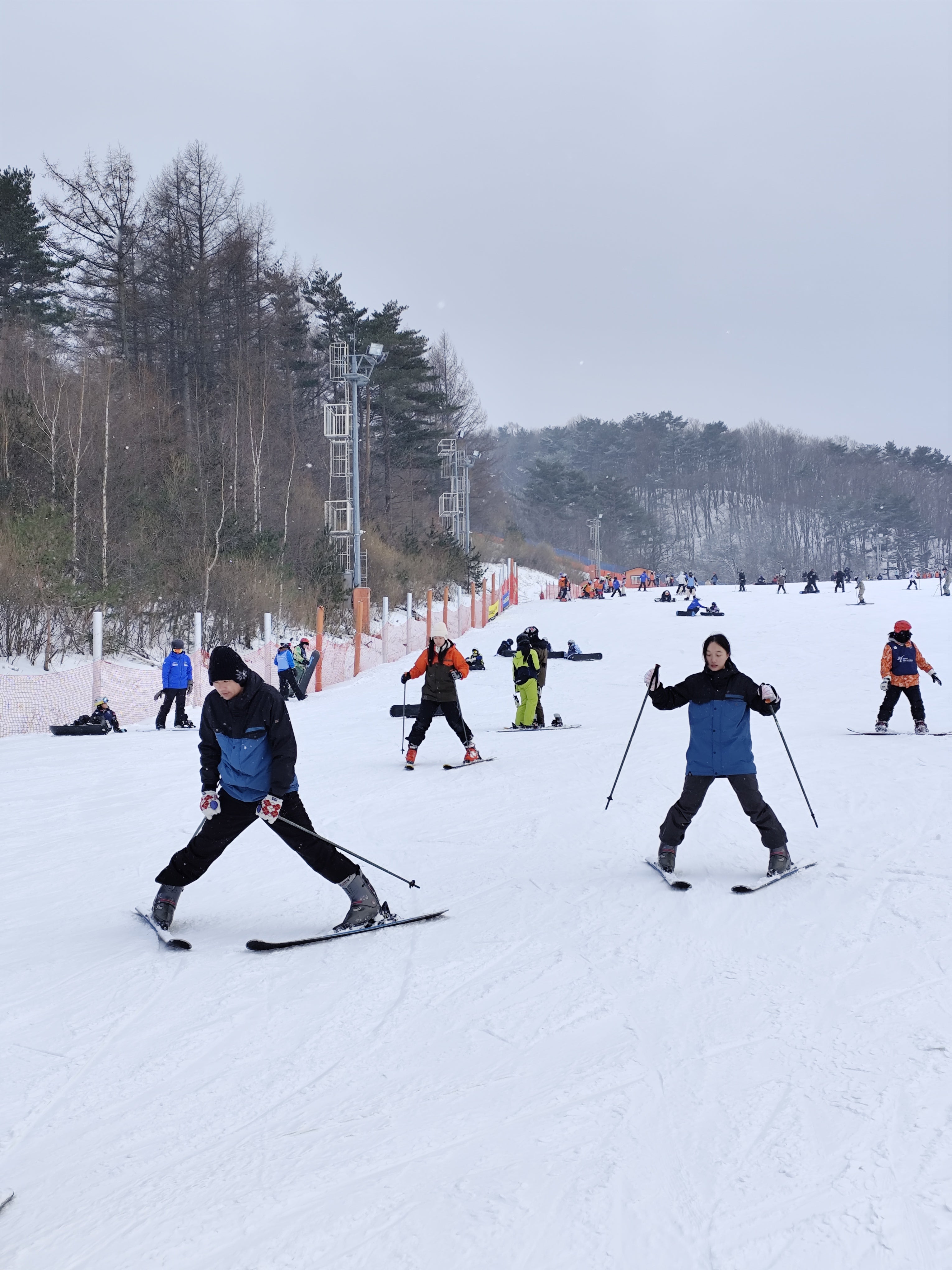 SKIDIEM 韩国龙平滑雪场-滑雪教练双板课程（中文课程）